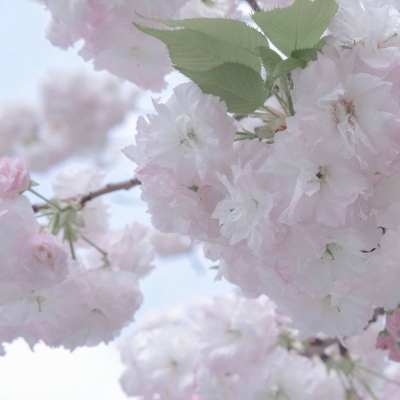 Furry绘画原创思路FurryQQ群